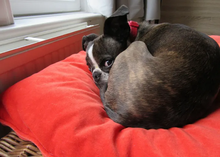 Middleton House Bed And Breakfast Auchterarder