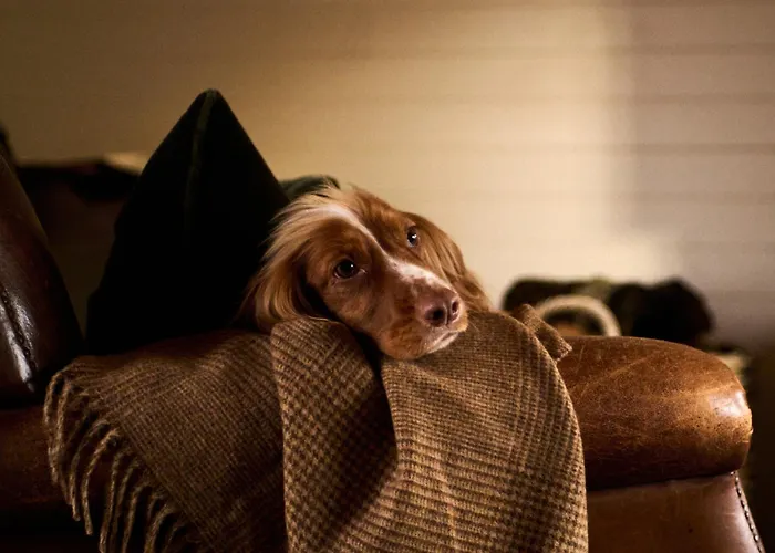 The Gleneagles Hotel Auchterarder